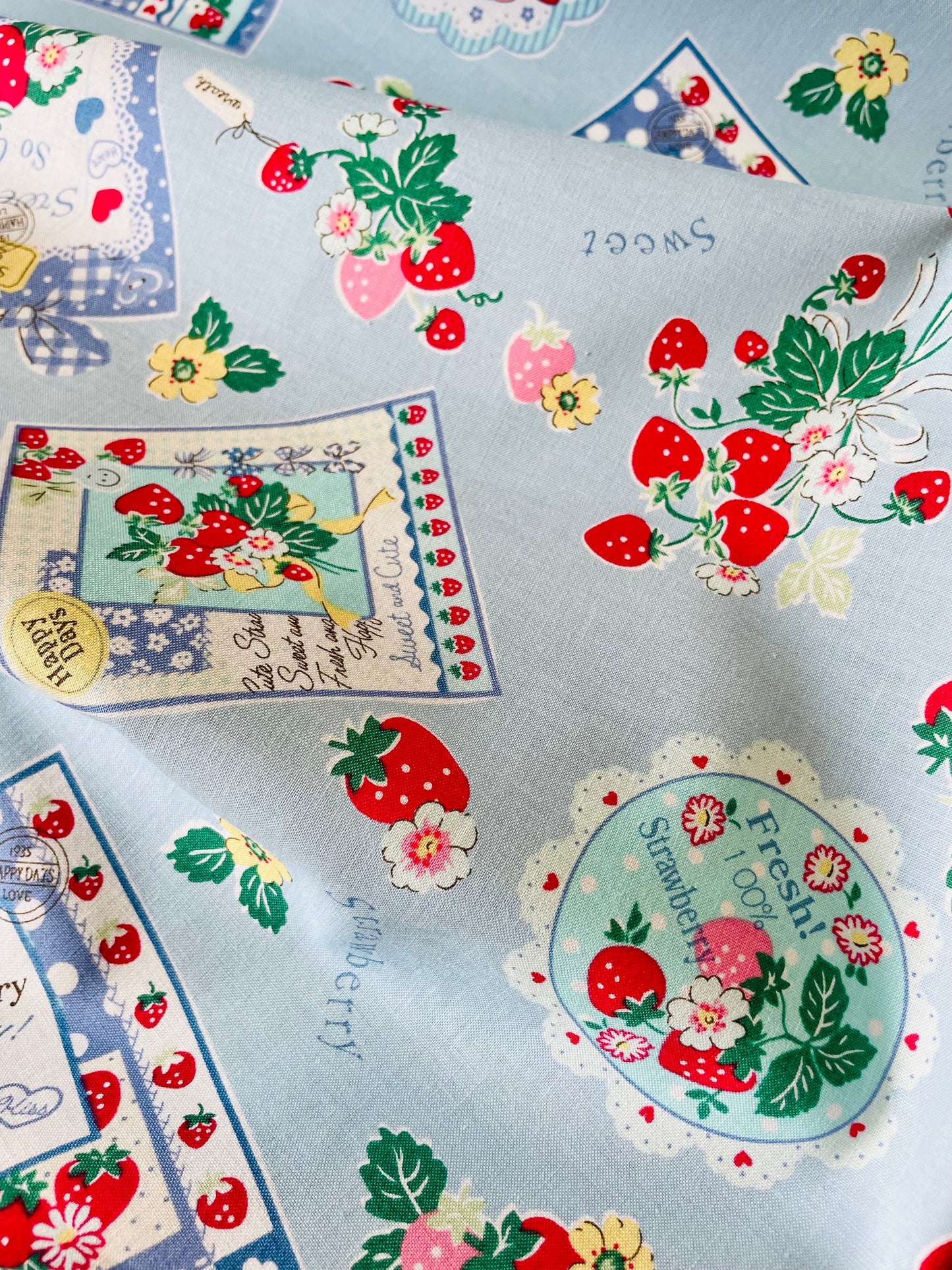 Atsuko Matsuyama - Strawberry Card (blue)