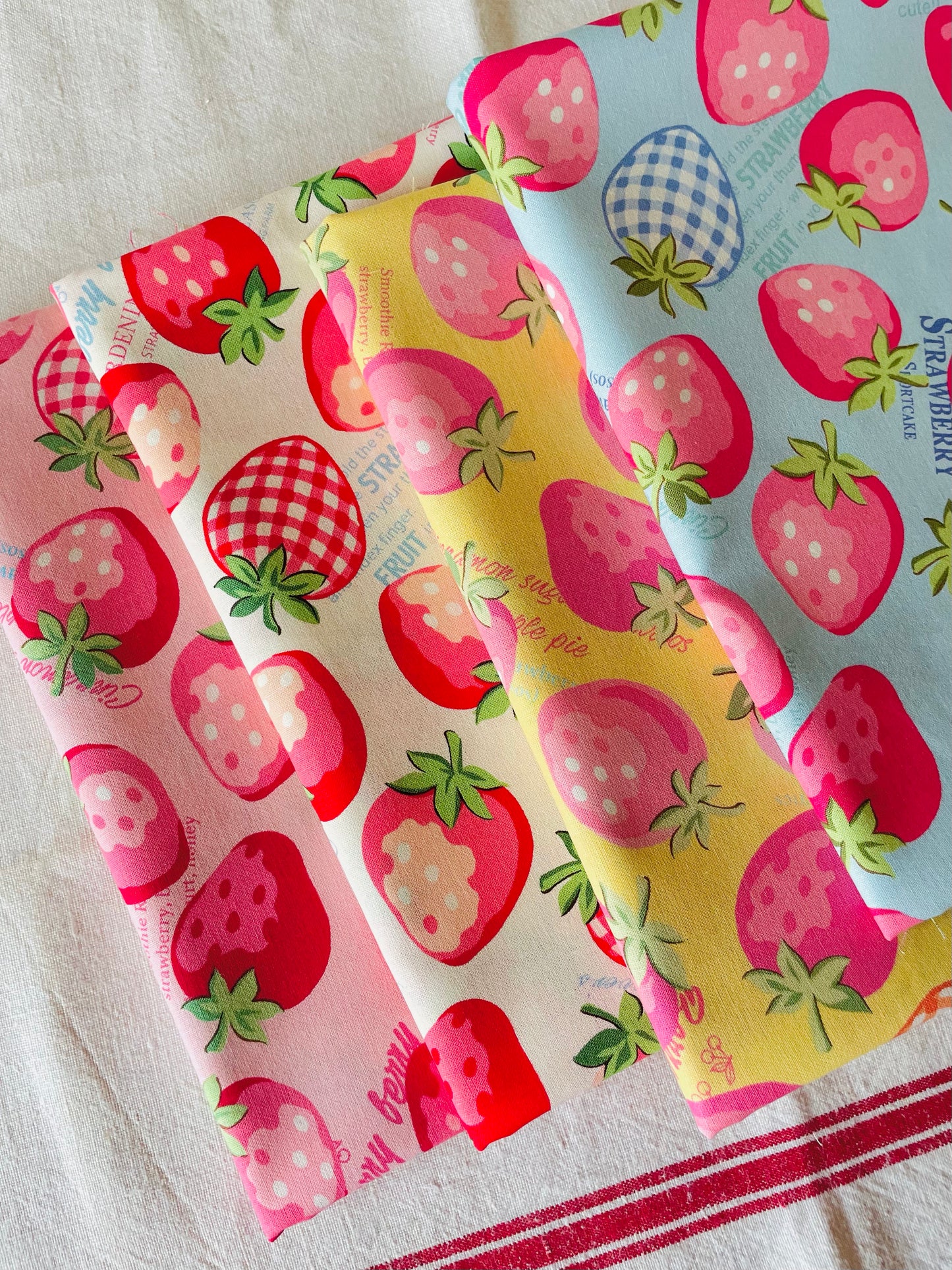 Atsuko Matsuyama - Strawberry Festival (bundle)