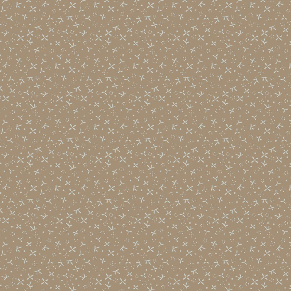 !! PRE ORDER !! star flowers - DV7436 (light brown)