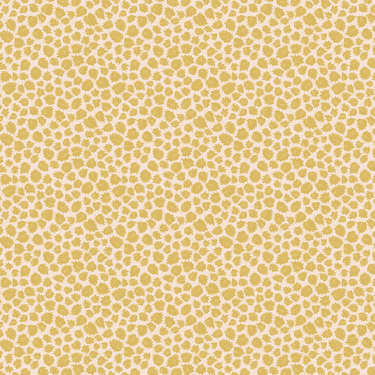 Darling Buds of May - Miranda 2 -DV7666