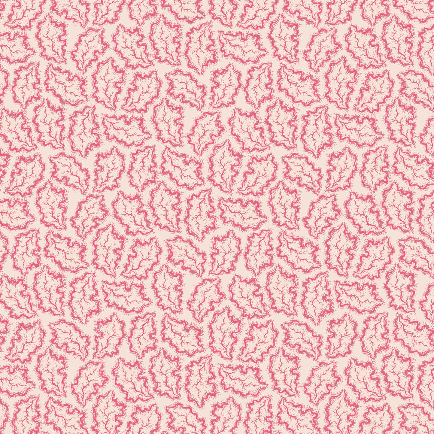 Darling Buds of May - Phebe 1 - DV7669