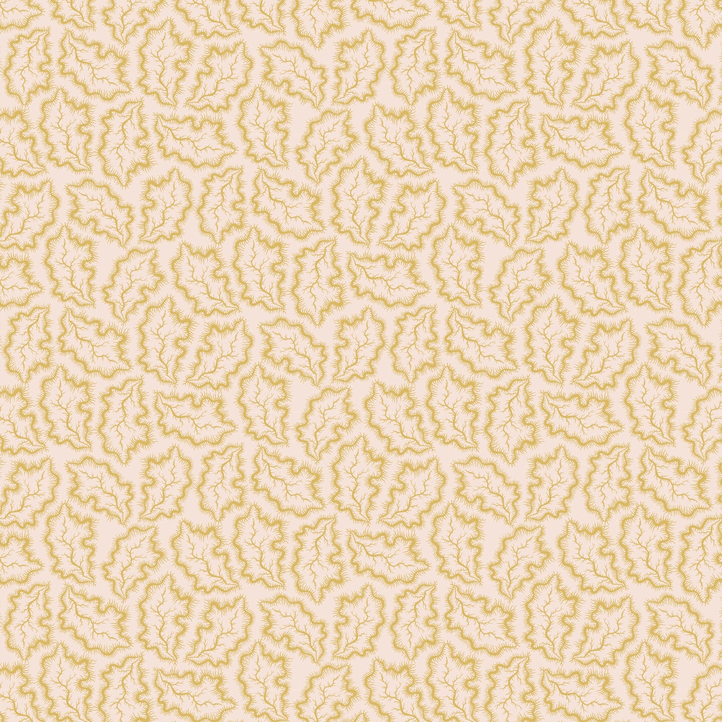 Darling Buds of May - Phebe 3 - DV7671