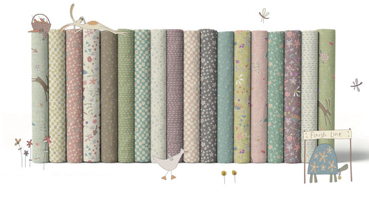 !! PRE ORDER !! Slow and steady bundle (18FQs)