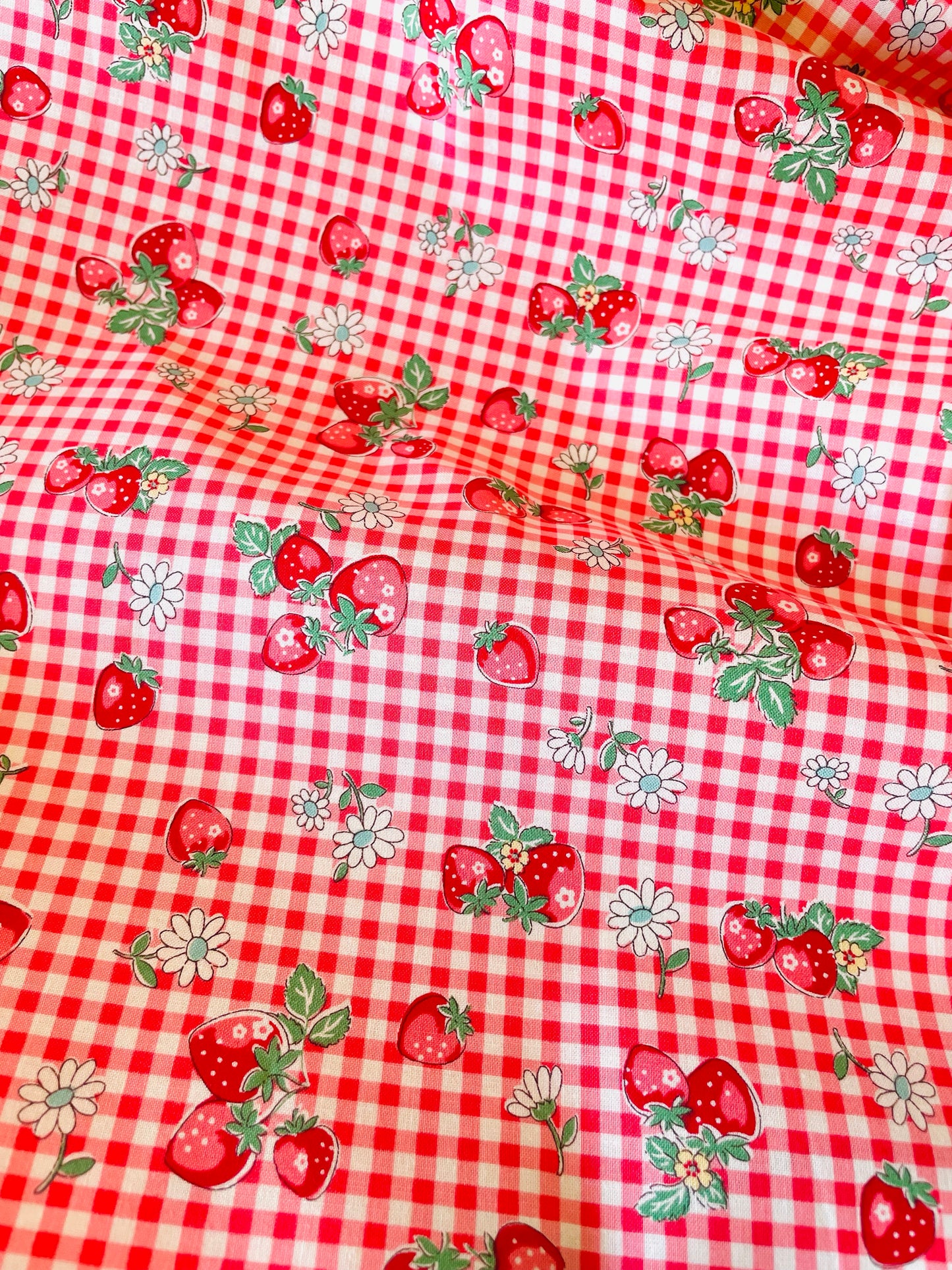 Atsuko Matsuyama - Check and Strawberry (red)