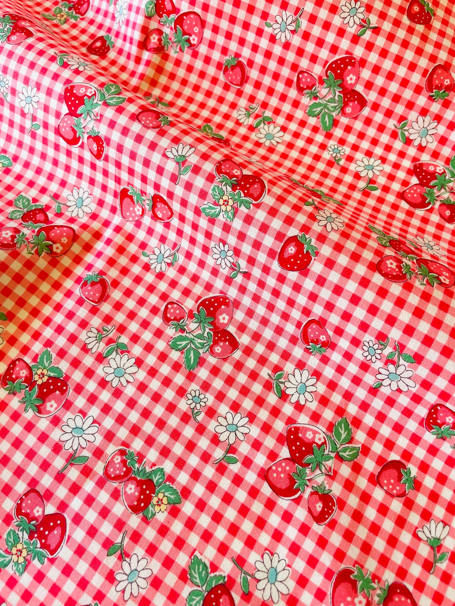 Atsuko Matsuyama - Check and Strawberry (red)