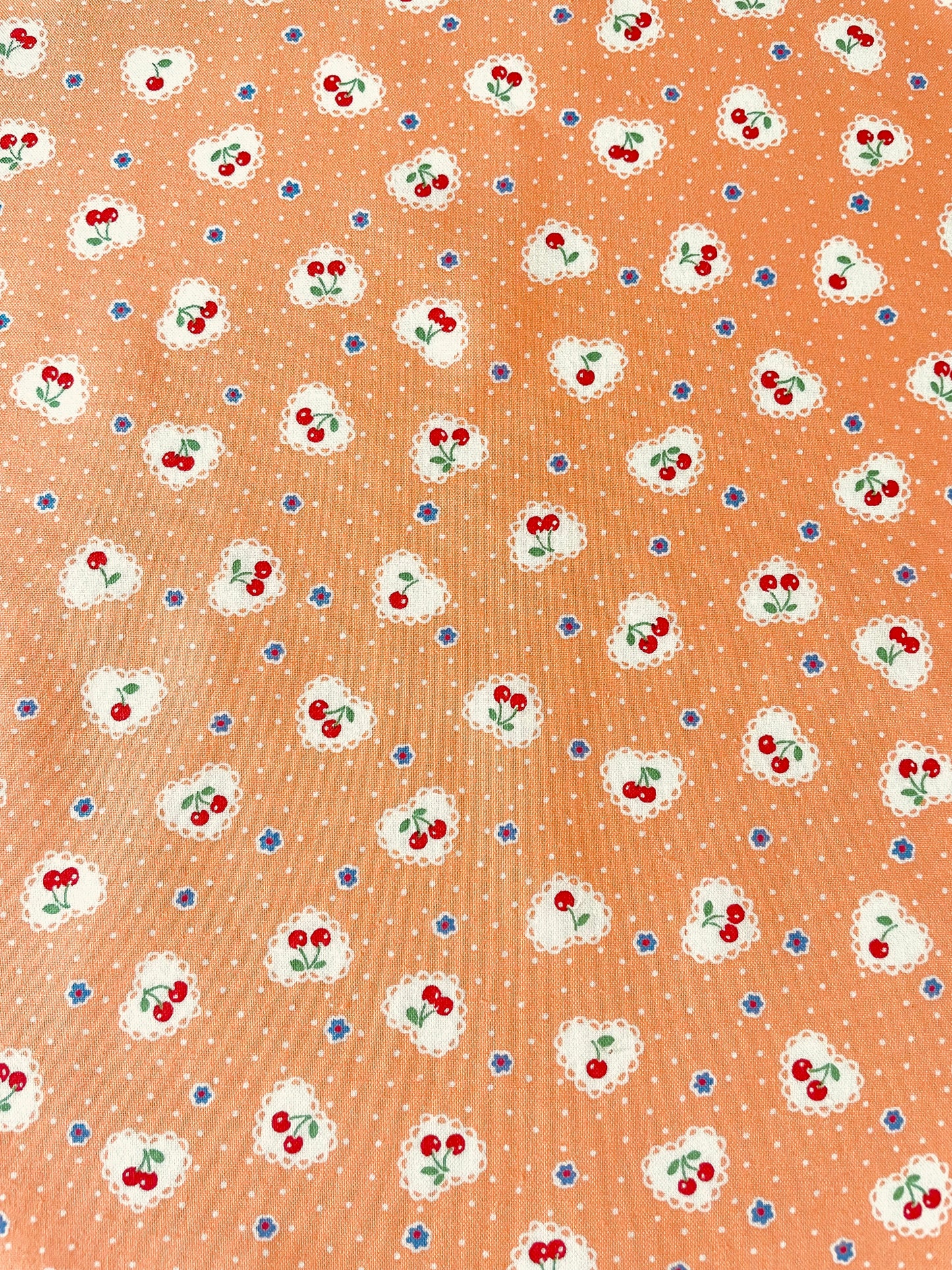 Scallop Cherry - Orange