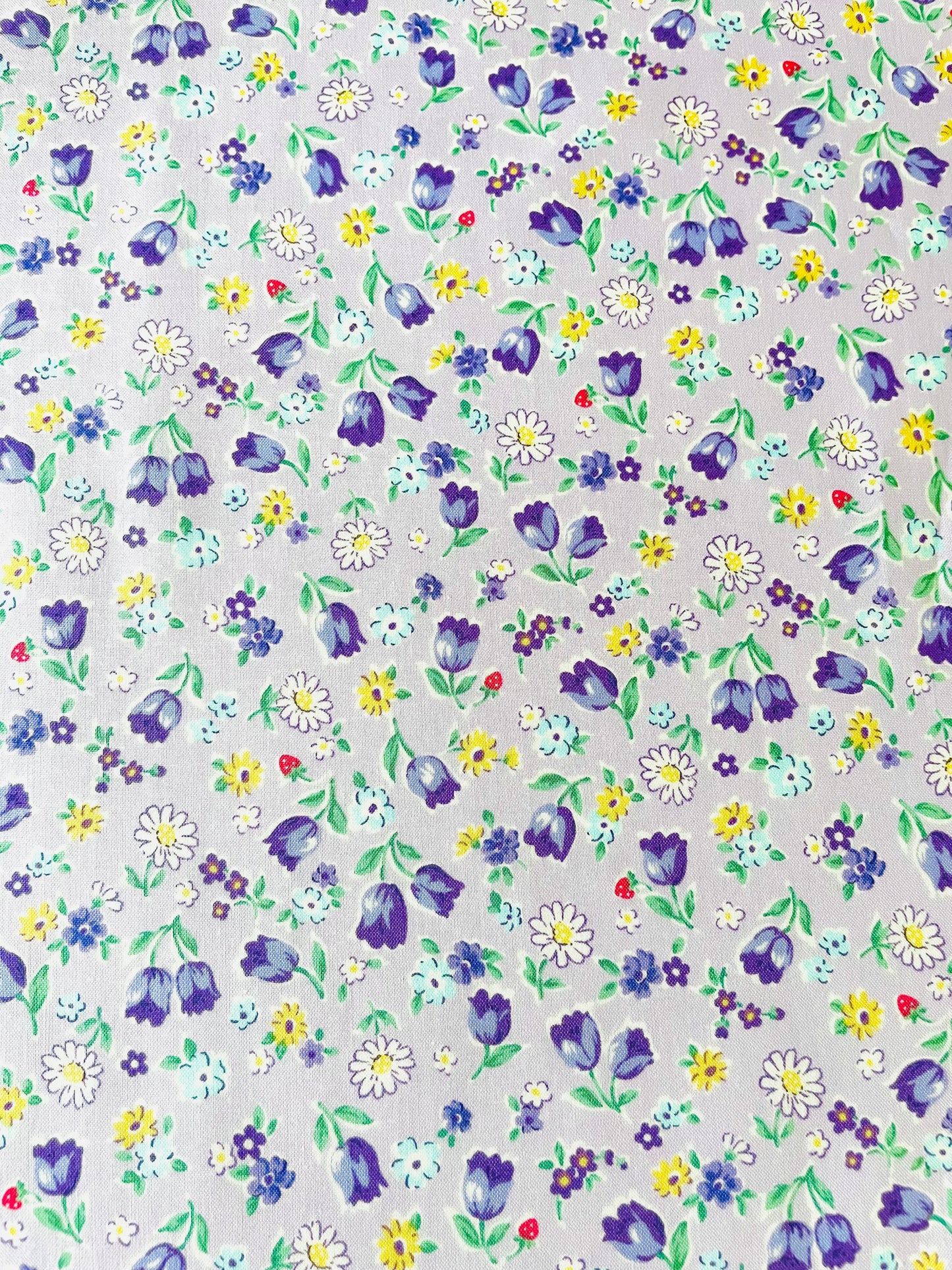 Sweet Tulip - Lilac