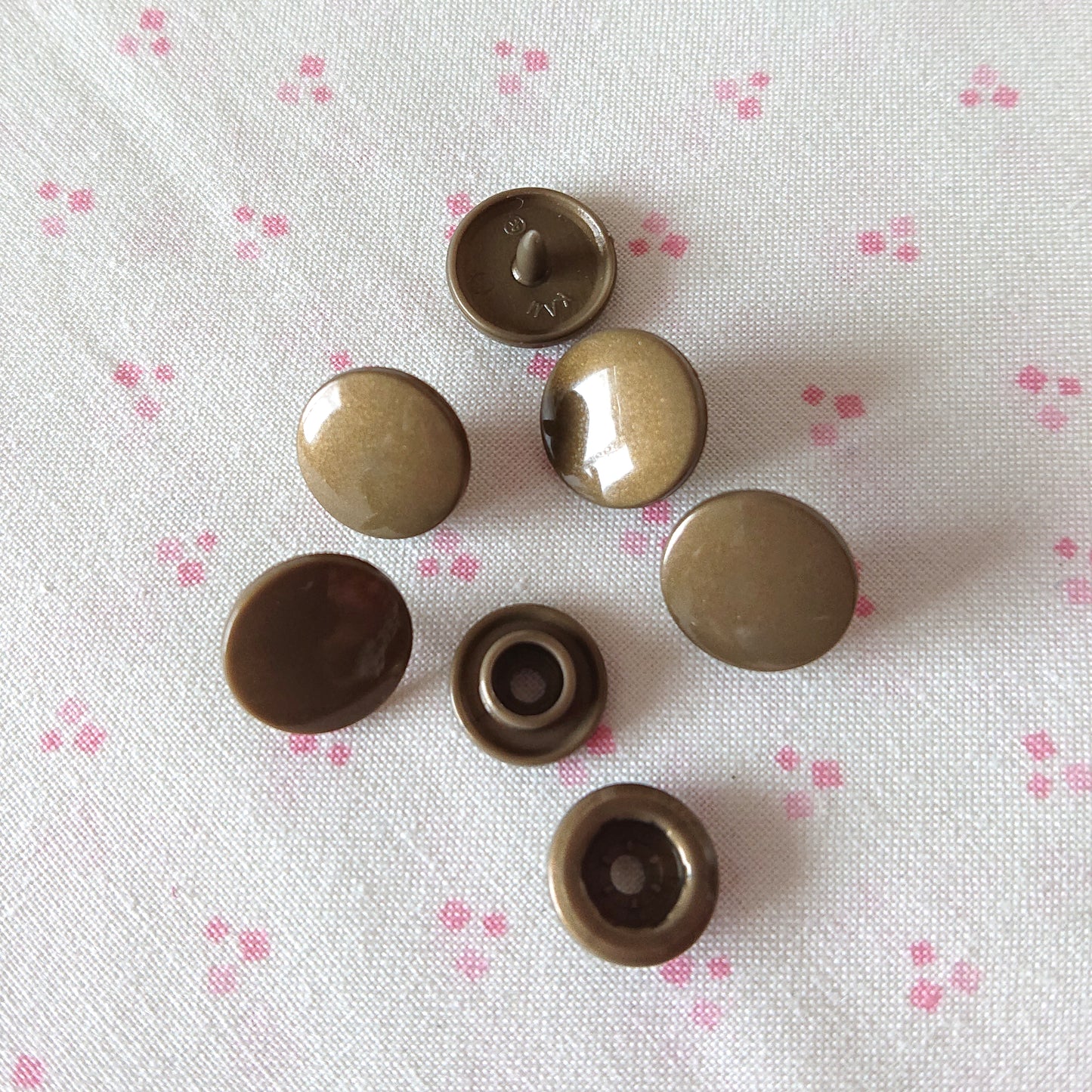 Fastening Snap -- Brown(Glossy)