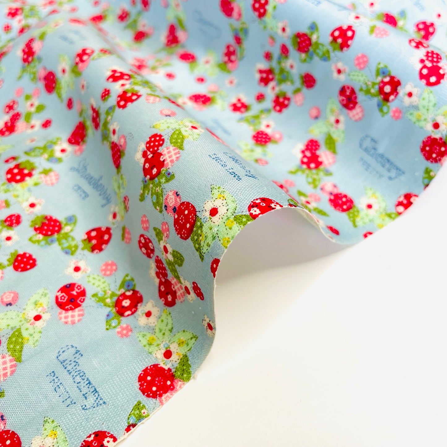 Fruits Wreath Mini -- blue