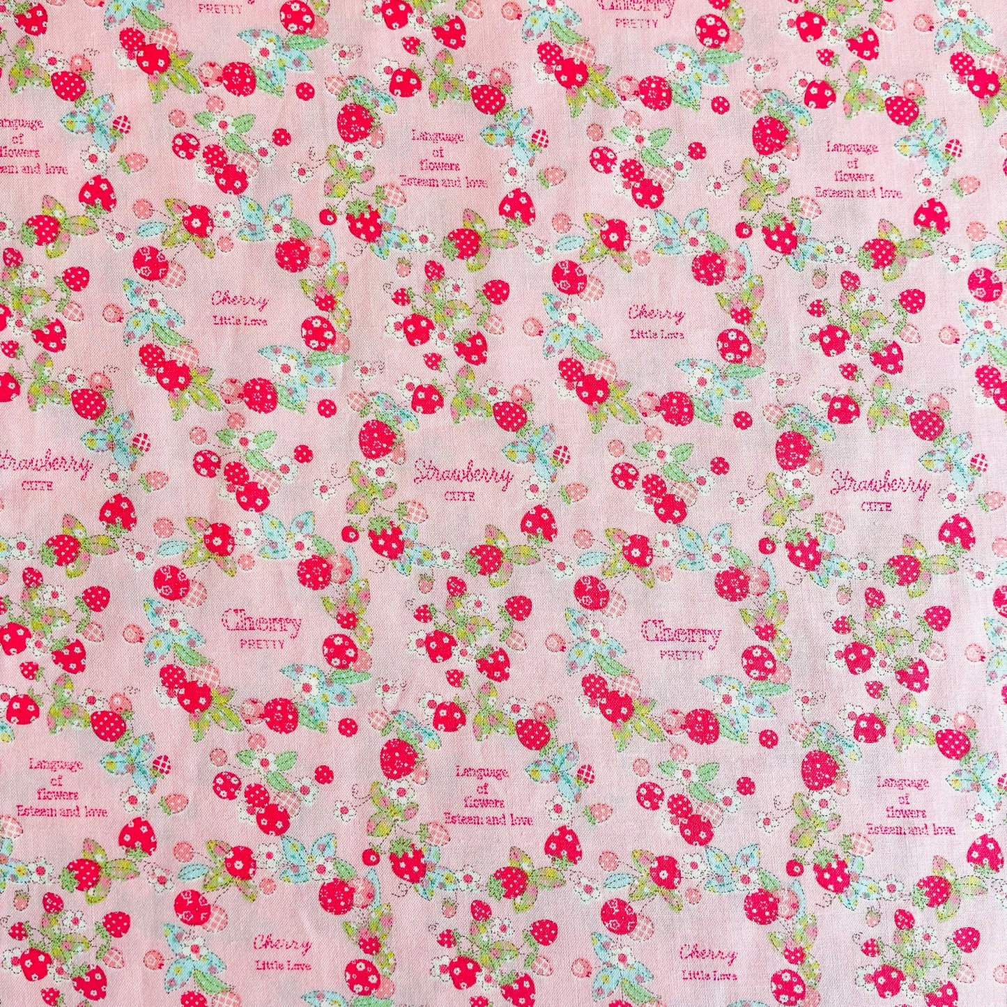 Fruits Wreath Mini -- pink