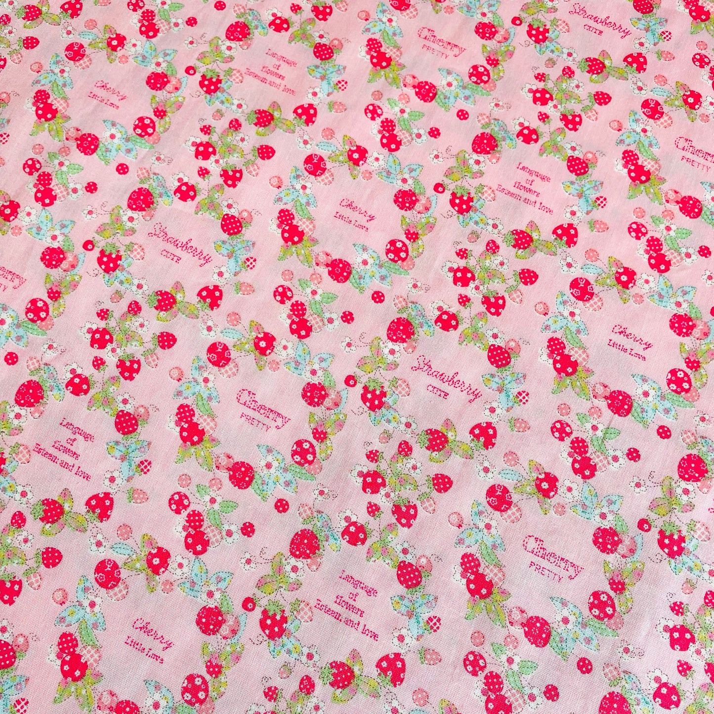 Fruits Wreath Mini -- pink