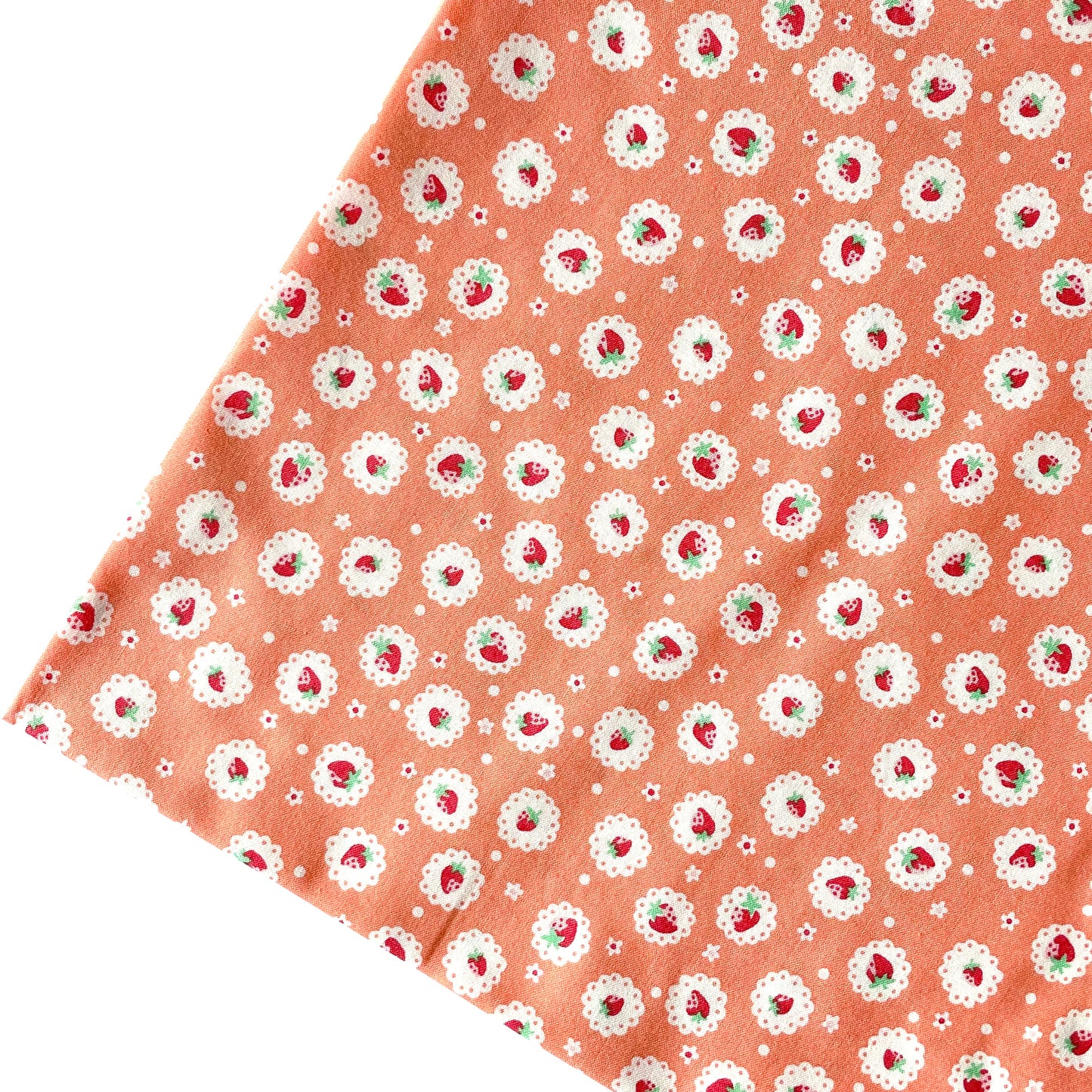 Scallop Strawberry - Orange
