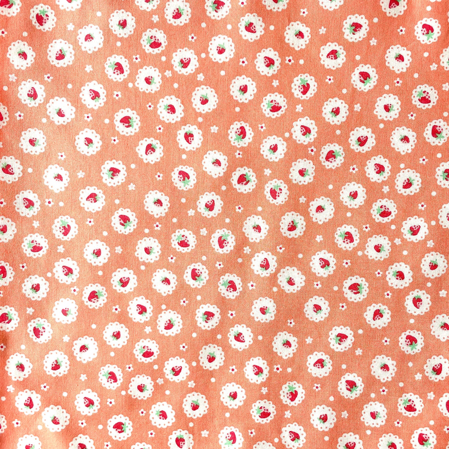 Scallop Strawberry - Orange