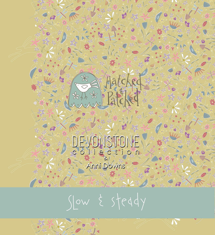 Slow and Steady by Anni Down