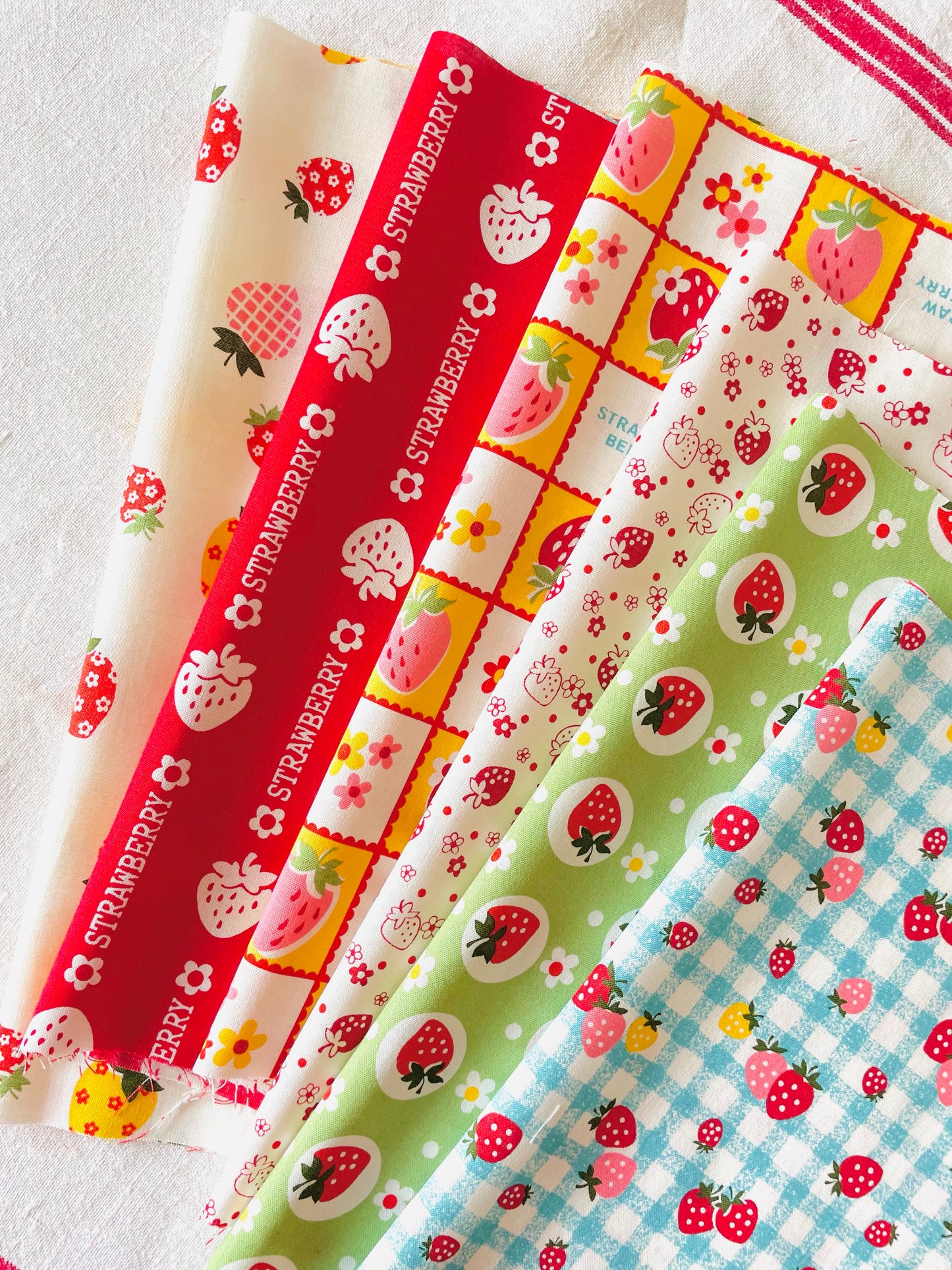 Atsuko Matsuyama - Square Strawberry Bundle