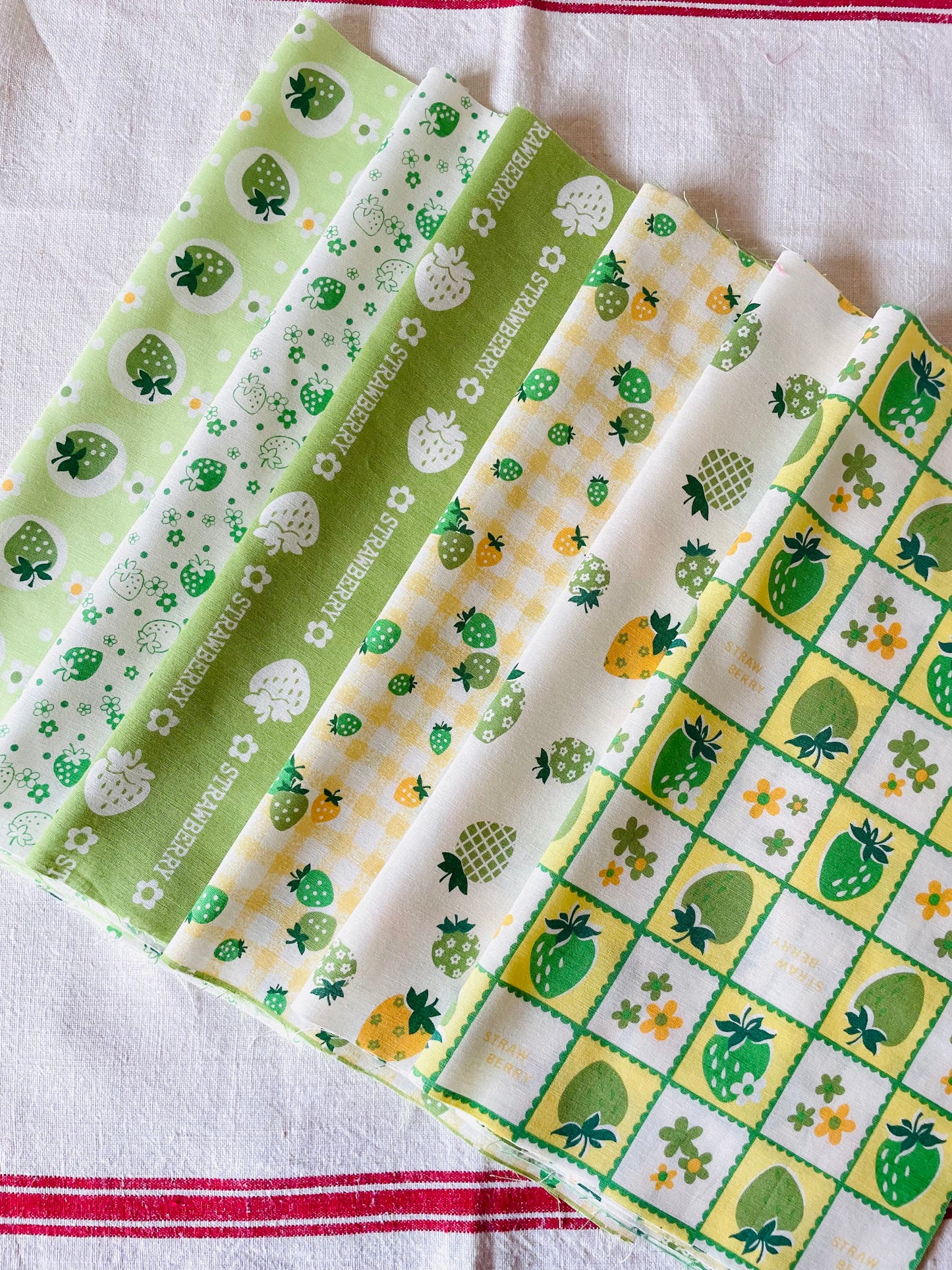 Atsuko Matsuyama - Square Strawberry (green)