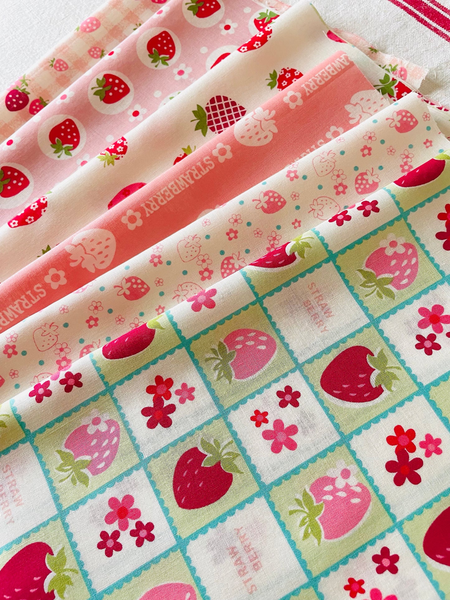 Atsuko Matsuyama - Square Strawberry (pink)