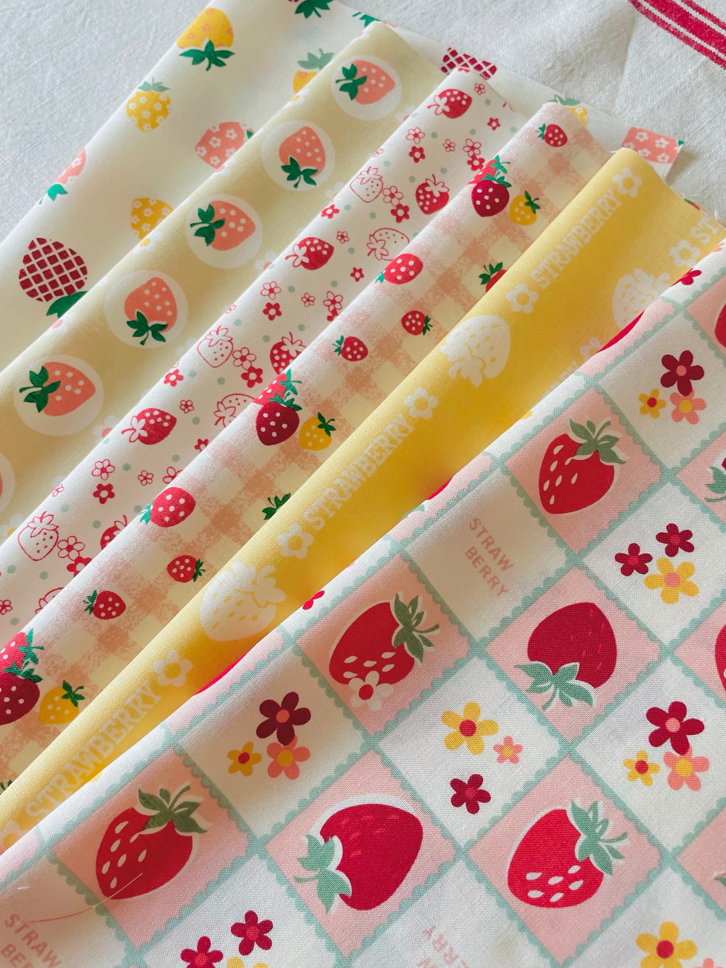 Atsuko Matsuyama - Square Strawberry Bundle