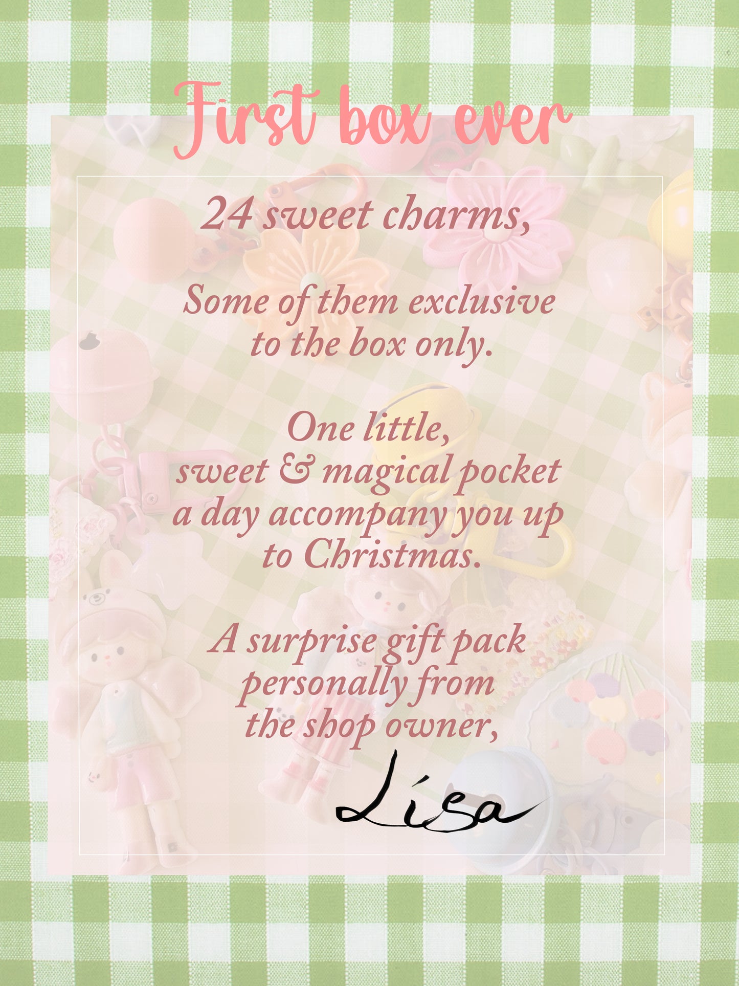 Zipper Charm - Advent Box for Christmas 2026