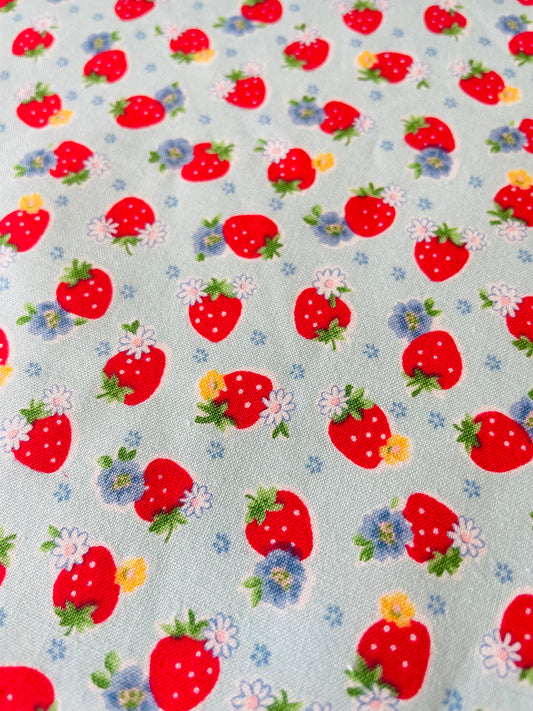 Atsuko Matsuyama - Cutie Berry (blue)