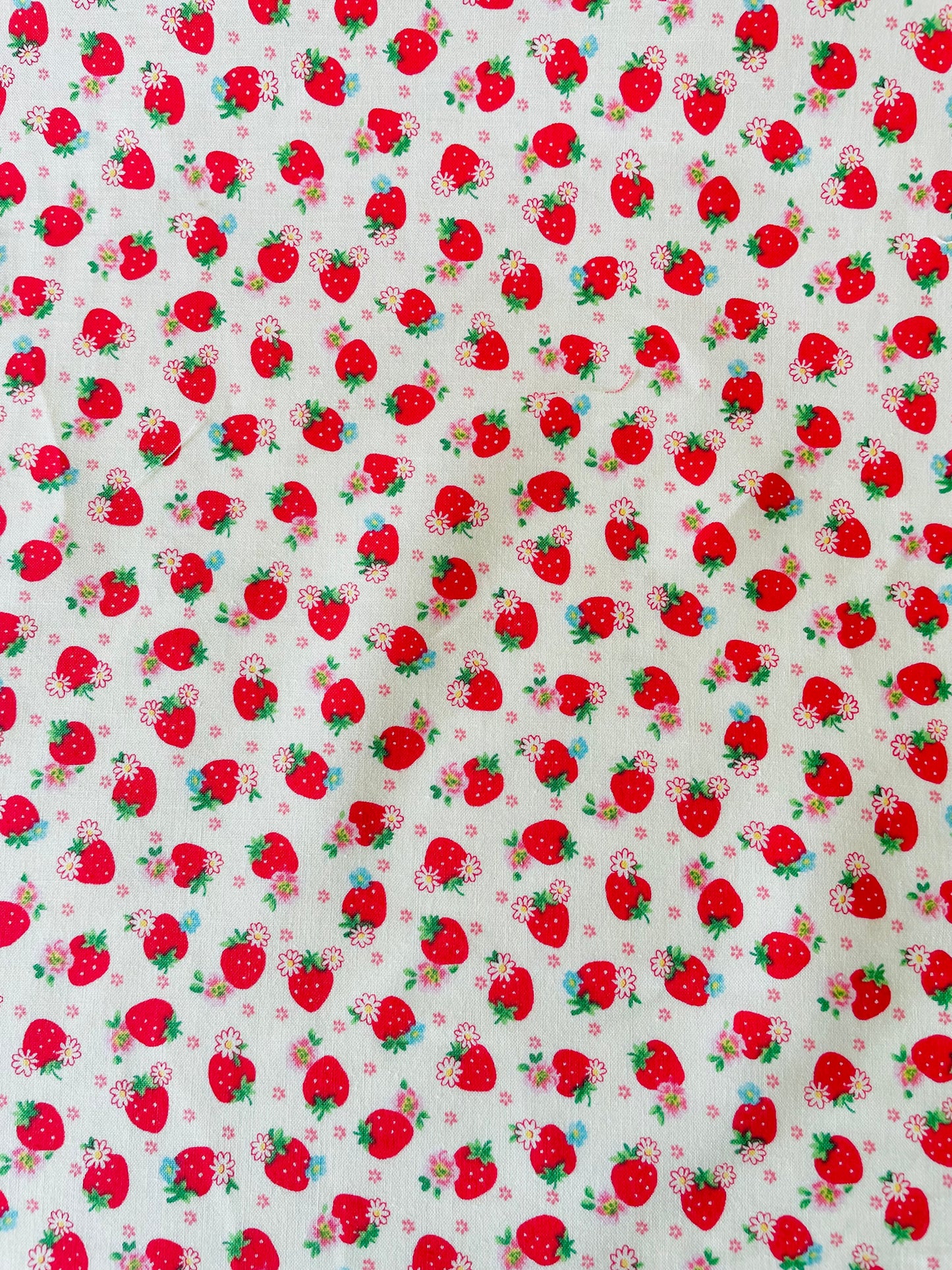 Atsuko Matsuyama - Cutie Berry (white)
