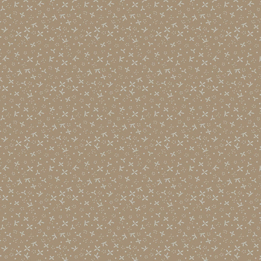 !! PRE ORDER !! star flowers - DV7436 (light brown)