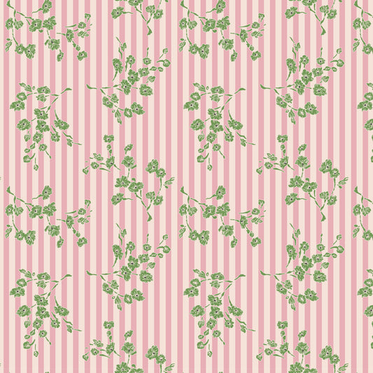 Darling Buds of May - Rosaline 1 - DV7654