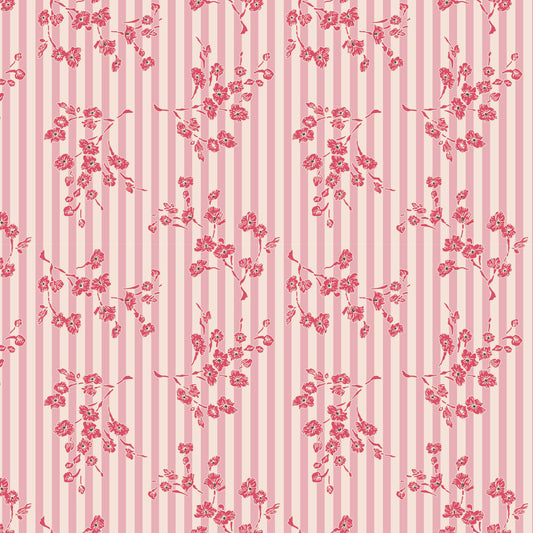 Darling Buds of May - Rosaline 2 - DV7655