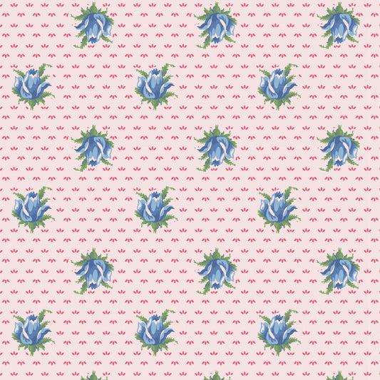 Darling Buds of May - Celia DV7660