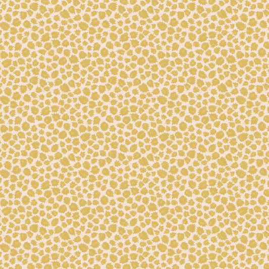 Darling Buds of May - Miranda 2 -DV7666