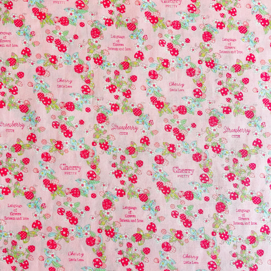 Fruits Wreath Mini  --  pink