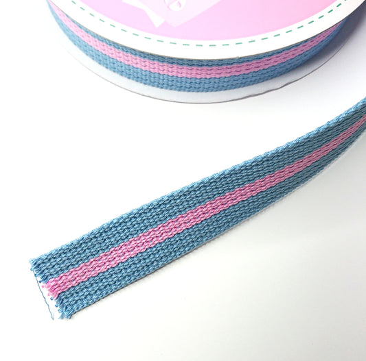 WEBBING -- Stripy (blue/pink)