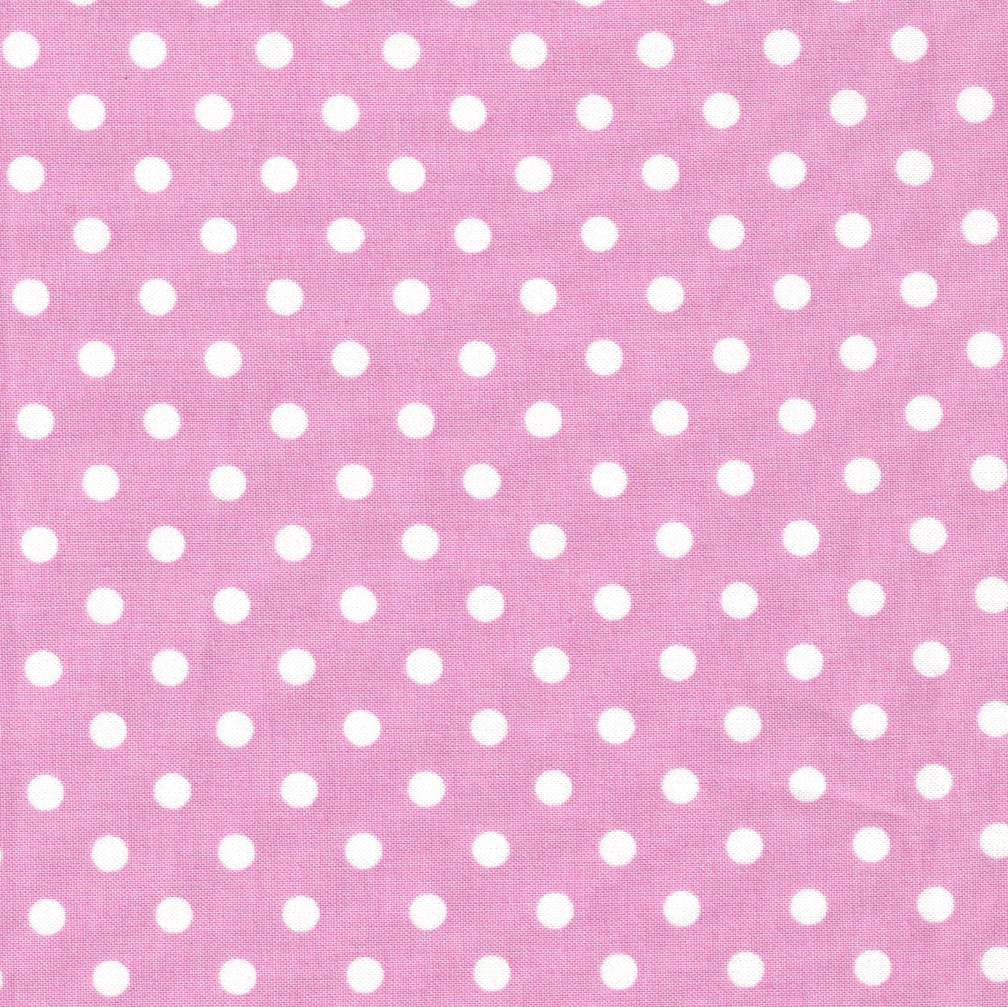Basic: Polka Dot -- Pink